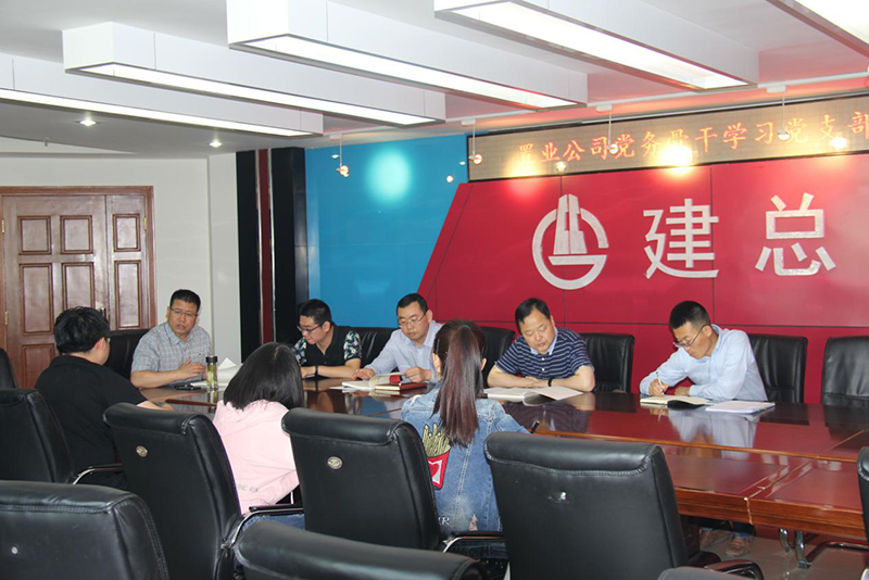 公司組織學(xué)習(xí)《甘肅省國(guó)有企業(yè)黨支部建設(shè)標(biāo)準(zhǔn)化手冊(cè)》